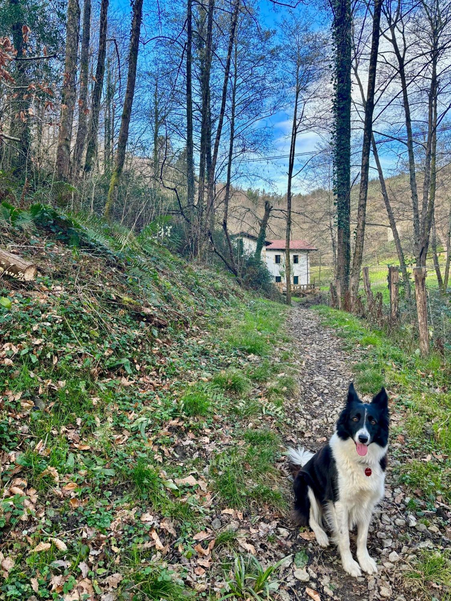 Casa Rural Passivhaus Kostoenea Hondarribia Exterior foto